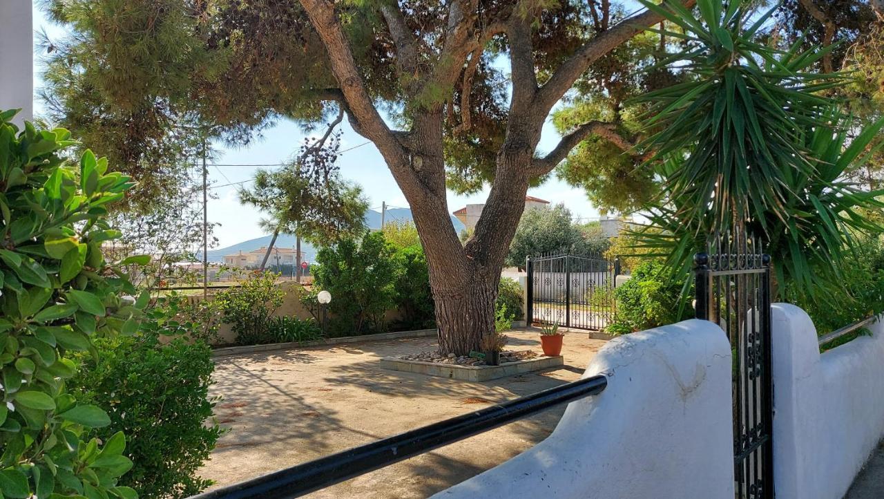 فيلا Airport Friendly House 2 أرتيميدا المظهر الخارجي الصورة