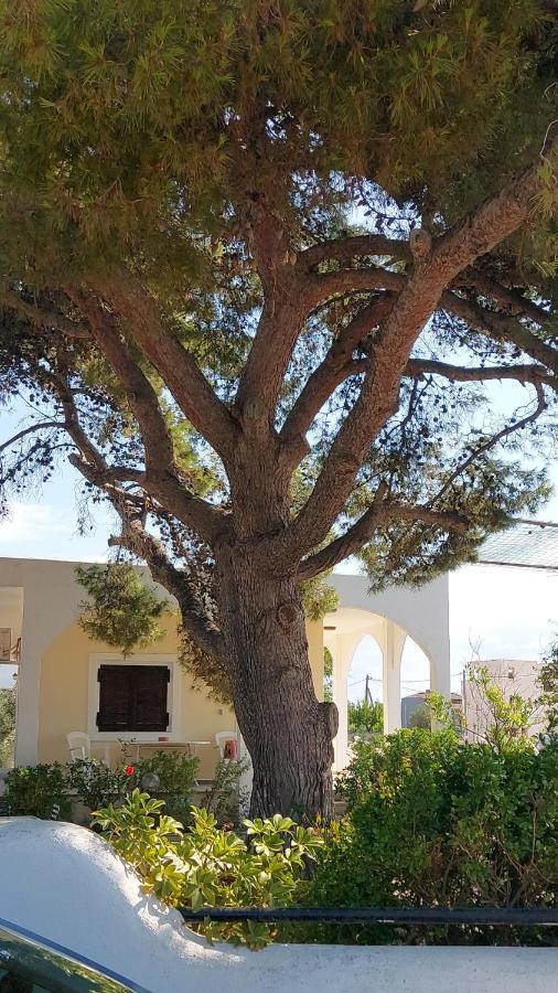 فيلا Airport Friendly House 2 أرتيميدا المظهر الخارجي الصورة